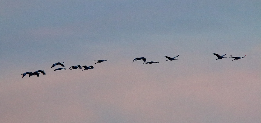 Ad ali spiegate, il sogno di Icaro.